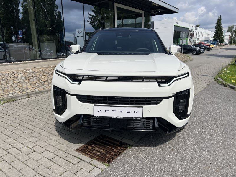 Actyon 63082